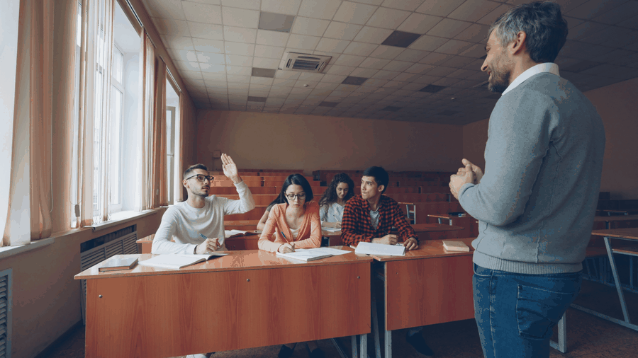 immersive art installation, event venue, digital display, interactive experience